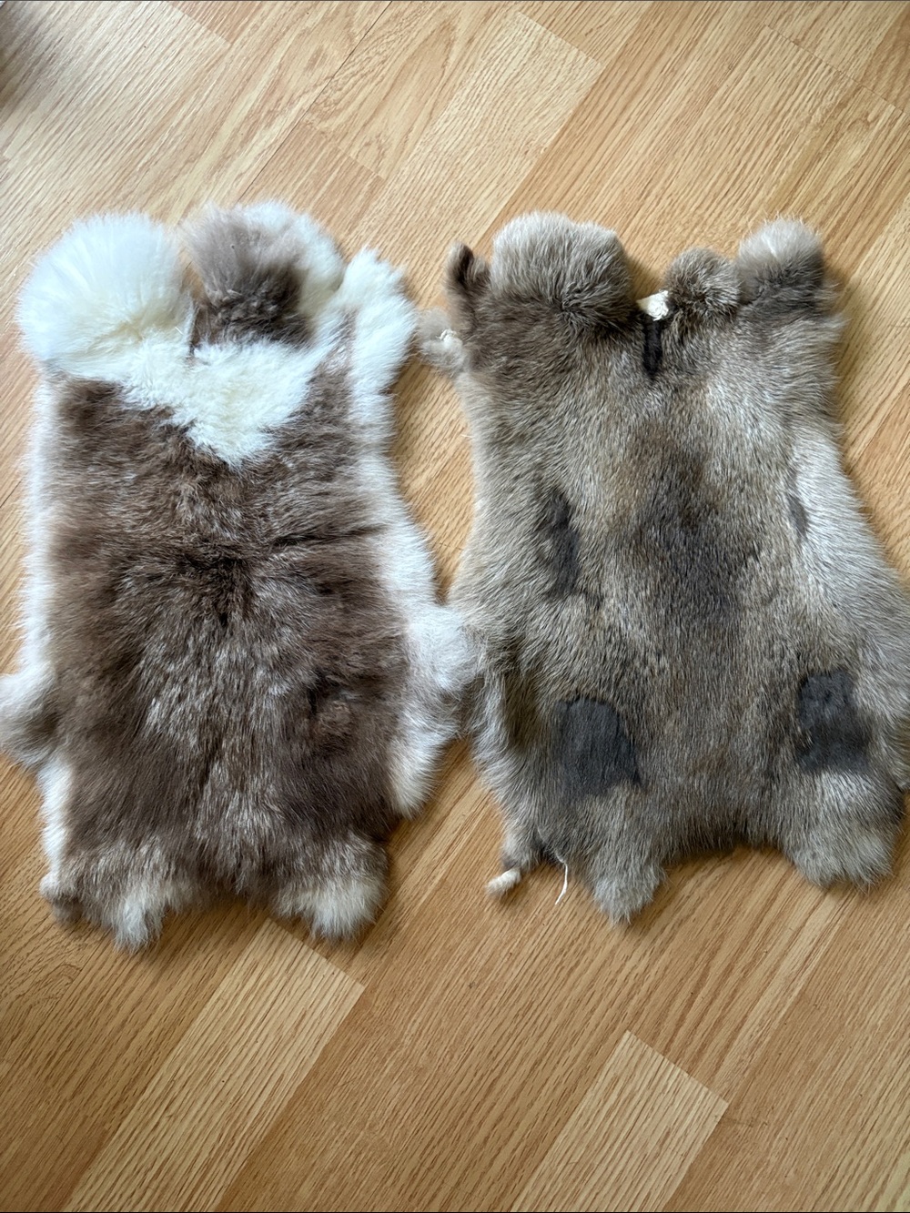 B0218 set rabbit pelts craft decor